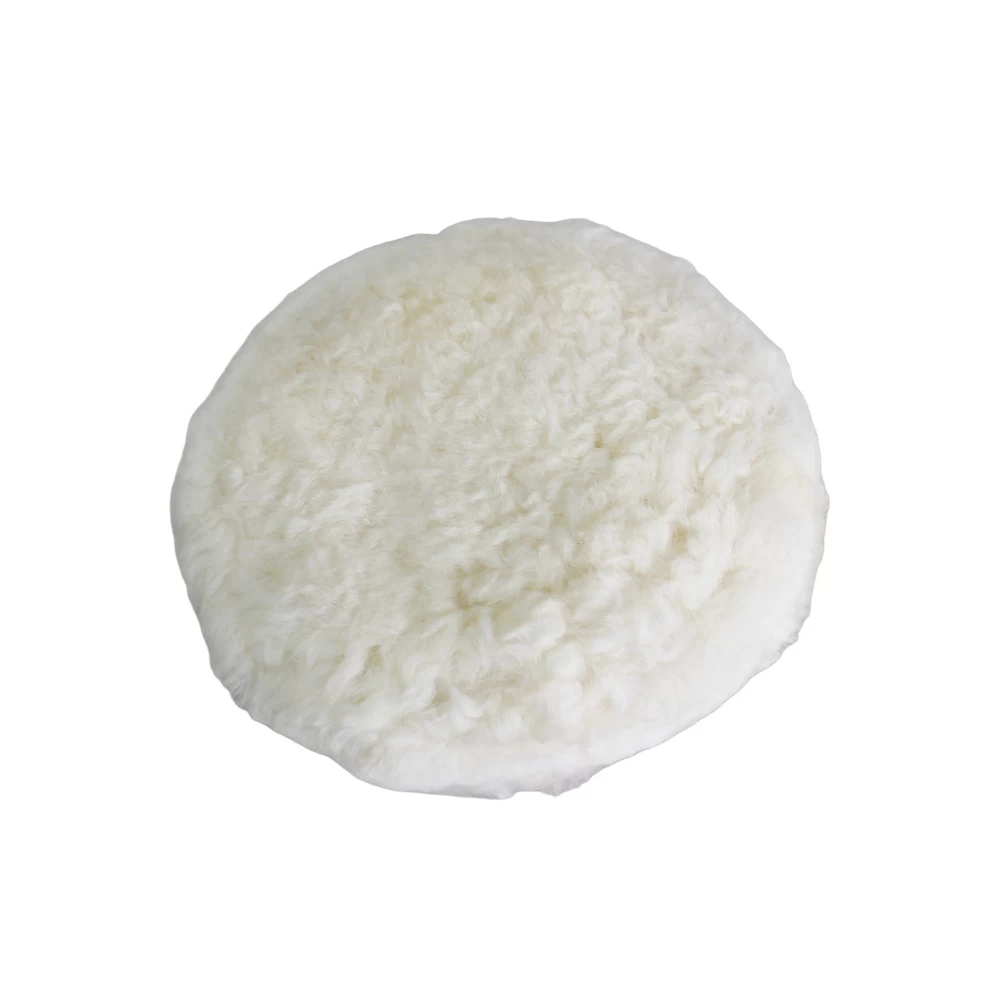 إسفنجة الصوف الحقيقي